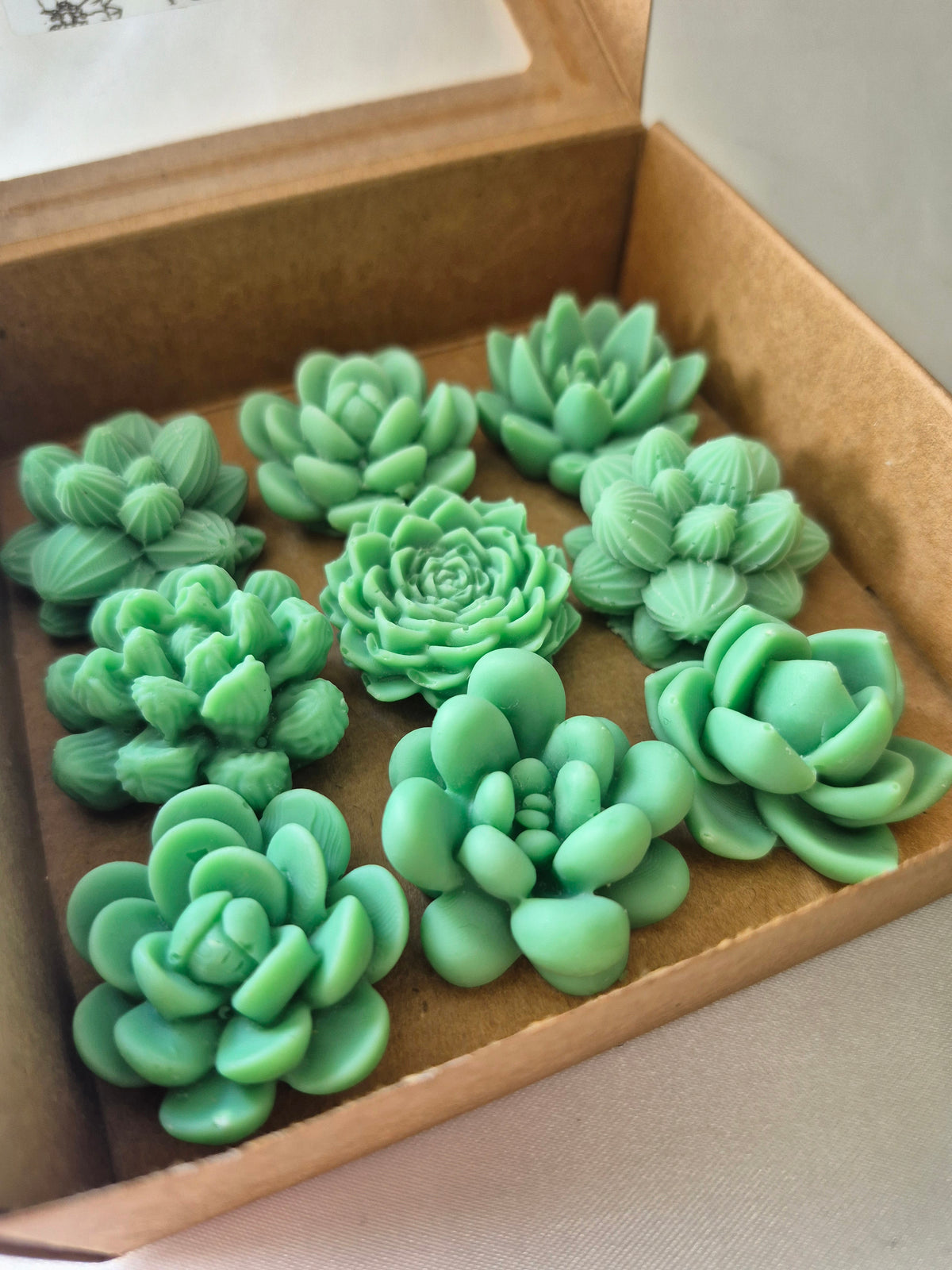 Wax Melts Suculentas