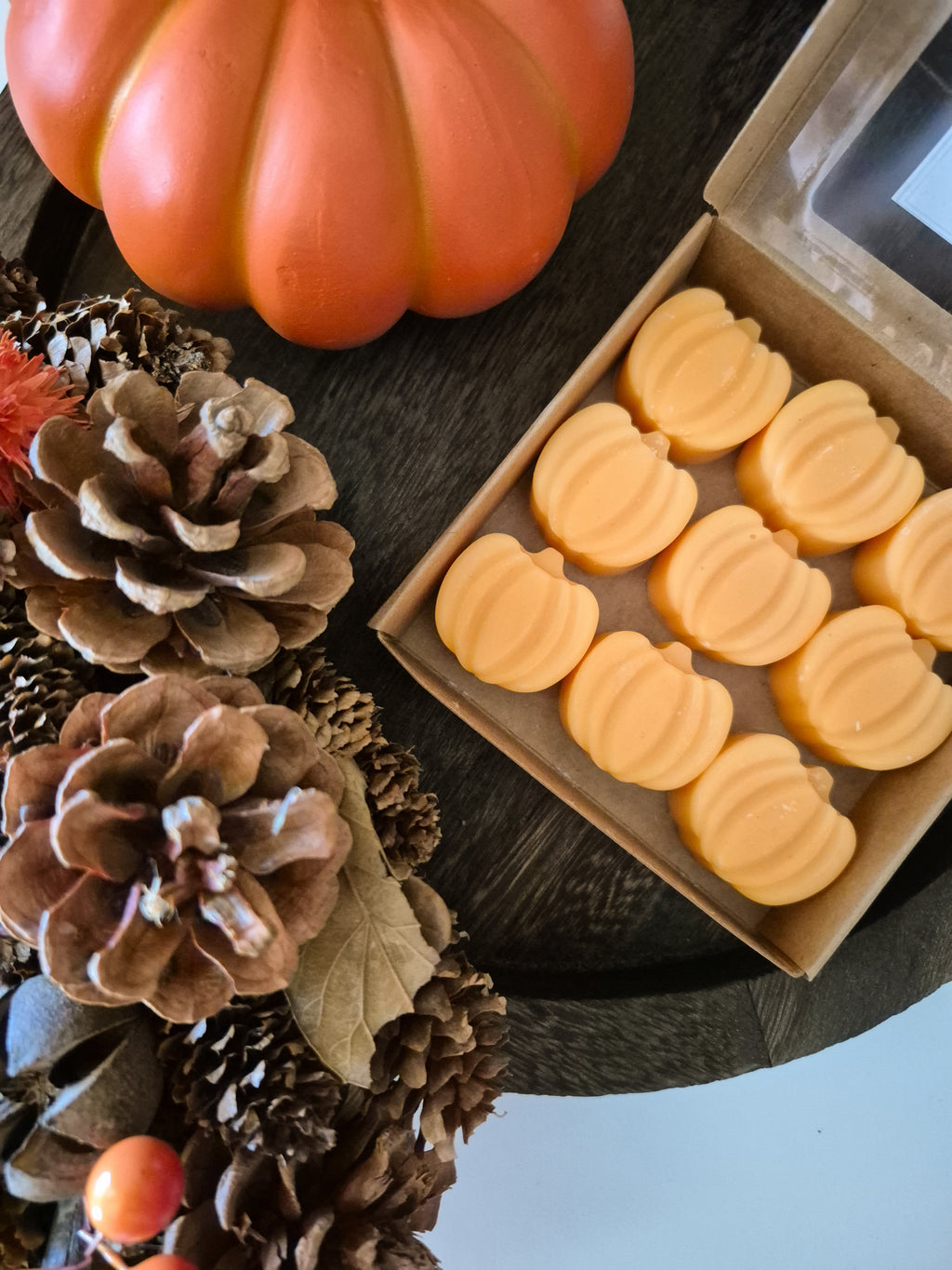 Wax Melts Abóboras