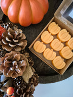 Wax Melts Abóboras