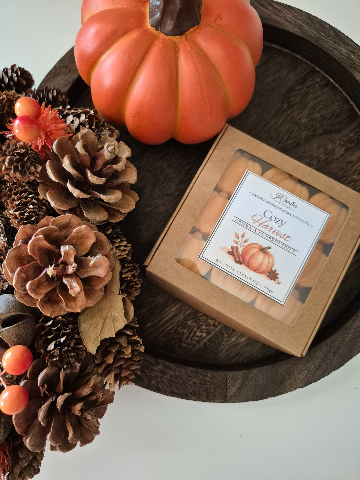 Wax Melts Abóboras