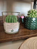 Vela Cactus Lovers