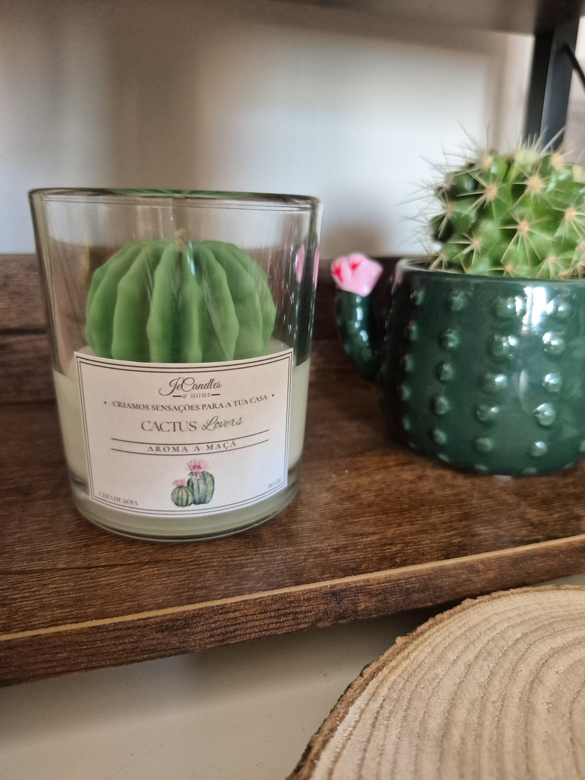 Vela Cactus Lovers