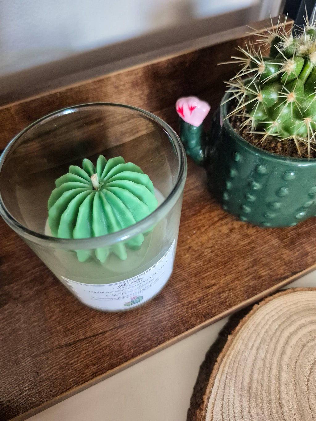 Vela Cactus Lovers