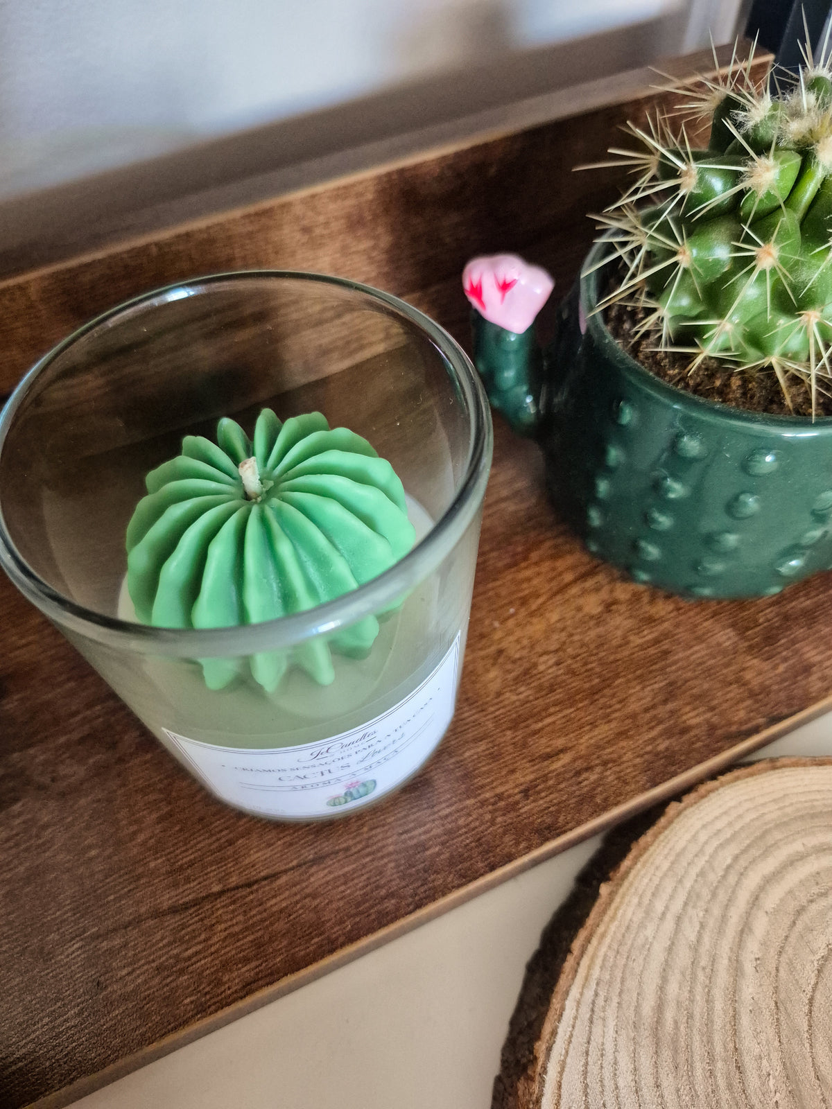 Vela Cactus Lovers