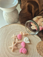 Conjunto de Queimadores + Wax Melts