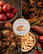 Discovery Box Wax Melts