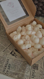 Wax Melts Caveiras
